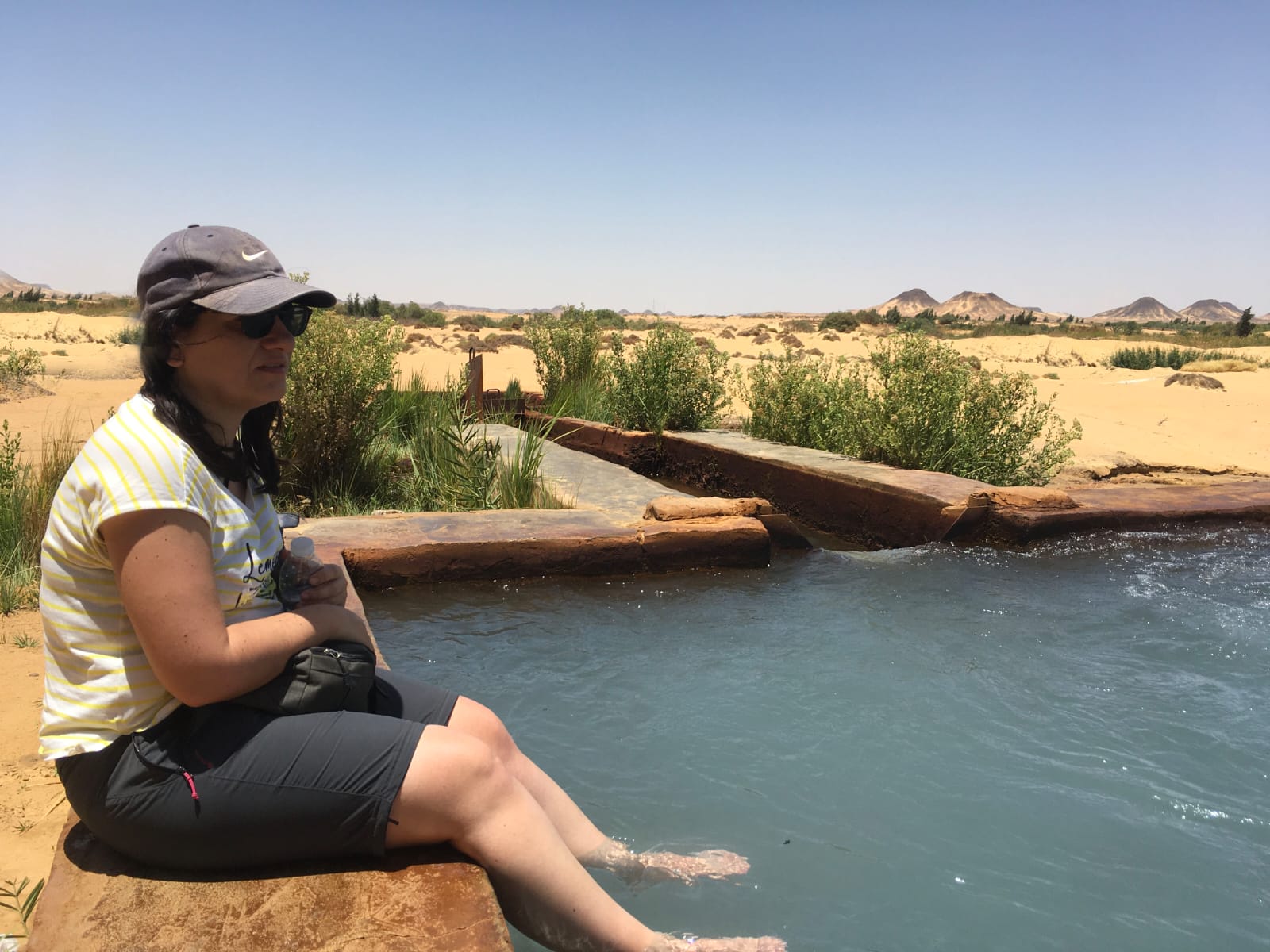 Excursie naar Wadi Al Hitan en de Fayoum oase vanuit de haven van Port Said